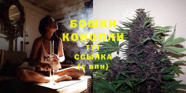мяу мяу мука Новокубанск