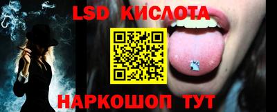 спиды Гатчина