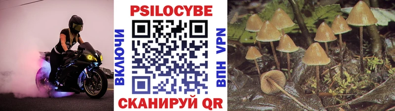 купить наркотики сайты Тобольск Псилоцибиновые грибы Cubensis