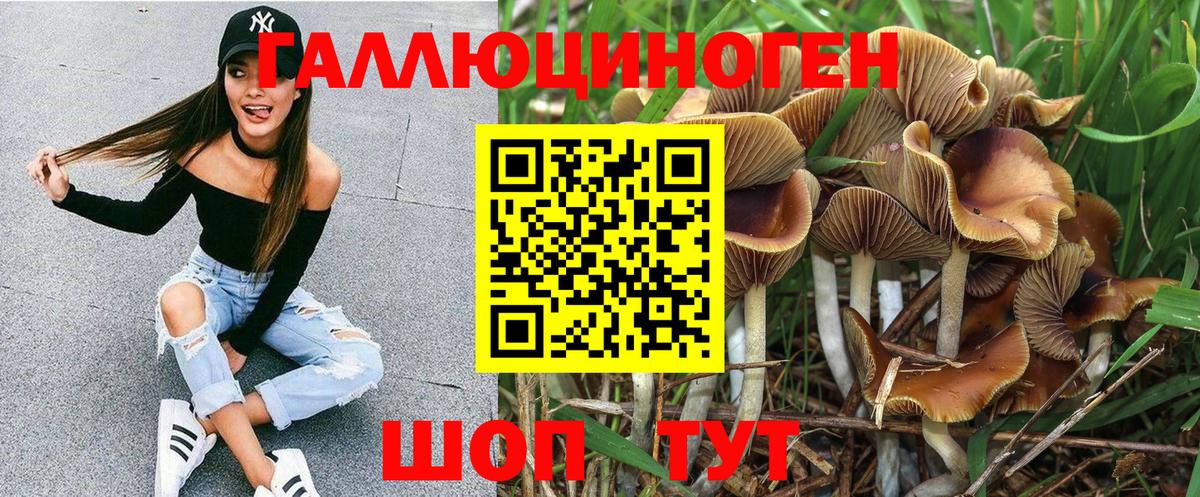 Тобольск  Галлюциногенные грибы мухоморы  Вход с VPN 